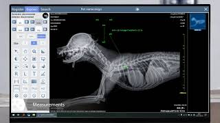 Mindray Vetix P8 Veterinary Digital Radiography System overview