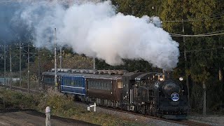 【SL大樹 C11207】紅葉と夜汽車のSL大樹８号（東武鉄道鬼怒川線　倉ケ崎～砥川橋梁～小佐越）