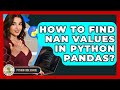 How To Find NaN Values In Python Pandas? - Python Code School