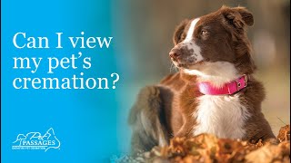 Can I view my pet's cremation?