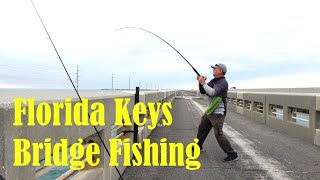 Bridge Fishing in FL Keys! Non-Stop Action!