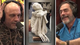 The Recent Alien Mummy That Was Found In Peru