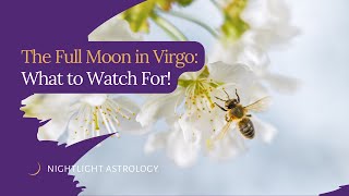 The Full Moon in Virgo: What to Watch For!