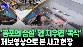 [제보/현장쏙] 무거운 '습설'에 강풍까지…쓰러지고 무너져 곳곳 피해｜40㎝ 넘는 폭설에…출근길 스키 탄 직장인 등장 / 연합뉴스TV (YonhapnewsTV)