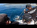 Big Lingcod & Rockfish Fishing at Catalina Island | Blackfish Charters Newport Beach, CA