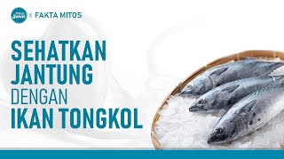 Jangan Lewatkan Manfaat Ikan Tongkol Untuk Kesehatan Jantung! | Hidup Sehat tvOne