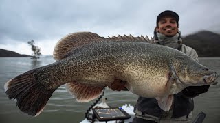 Fishing for Lake Eildon Murray Cod