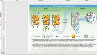 BIOT212 Lecture4 2