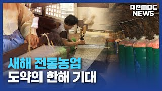 청양 구기자·광천 토굴젓, '국가유산 선정'/대전MBC