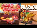 Epic Pharaoh Dragon Hatching! - Dragon Mania Legends PC Walkthrough Part 45