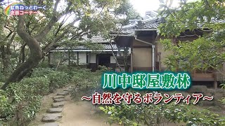 川中邸屋敷林～自然を守るボランティア～