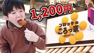 【話題】コロッケのころっ家‼売ってるコロッケ全種食べてみた！食レポレビュー感想