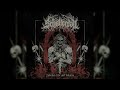 SCHATTENFALL - Zwischen Erde und Schatten [Full Album] | 2026
