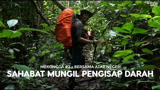 GUNUNG MEKONGGA #2   BERSAMA ATAP NEGERI