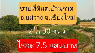 MV0102  ขายที่ดินต.บ้านกาด อ.แม่วาง จ.เชียงใหม่ | 2 ไร่ 30 ตร.ว. ไร่ละ 7.5 แสนบาท