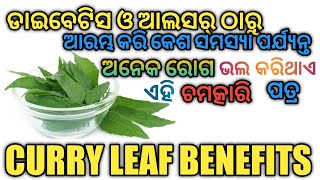 Curry leaf benefits | ଭୃସଙ୍ଗ ପତ୍ର ର ଔଷଧୀୟ ଗୁଣ |Bhrusanga leaf benefits |curry leaf uses and benefits