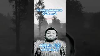 சென்றவனை கேட்டால்.. பாத காணிக்கை ||T M S Legend || Kannadhasan || MSV Ramamoorthi ||