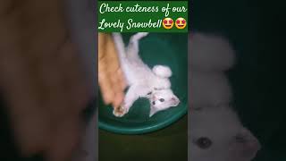 #Our Cute Snowbell # like and Suscribe for More Funny Videos😄😄🥰🥰🥰