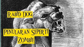 Awas Tergigit Anjing = Rabies!