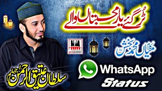 Tur Gaye Yaar Mohabbatan Wale | WhatsApp Status | Kalam Mian Muhammad Bakhsh | NM Production