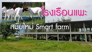 ชม โรงเรือนแพะ สมัยใหม่ Smart farm