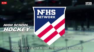 LIVE: Hibbing/Chisholm vs Cloquet/Esko/Carlton - 2025 Minnesota Boys Hockey Tournament