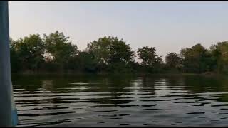 Boating on Halali River in MPT Jungle Resort, Udaigiri #shorts #yvvlogger #mptourism #jungleresort