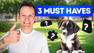 These 3 items saved my puppy training!