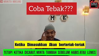 tebak-tebakan lucu bikin ngakak || tebak-tebakan terlucu || Koplak episode 2