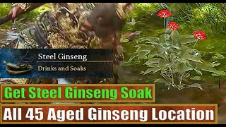 All 45 Aged Ginseng Route Location Guide: Get Steel Ginseng Soak: Black Myth Wukong