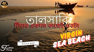 তালসারি Tour Guide - A Virgin Sea Beach in Odisha near Digha | Perfect Weekend Trip from Kolkata