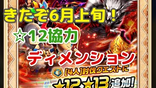 【白猫プロジェクト】星12協力 雷騰雲奔ディメンション ランダムマッチプレイ 【バルヘイム】