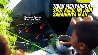 HEBOH, bocil bocil ini mancing di spot kecil yang jadi sarang ikan