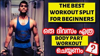 The Best workout Split | For Beginners | Malayalam | Certified Fitness Trainer |