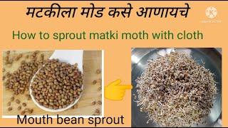 मटकीला मोड कशी आणायचे / How to sprout matki moth with cloth / मटकी को अंकुरित कैसे लाए