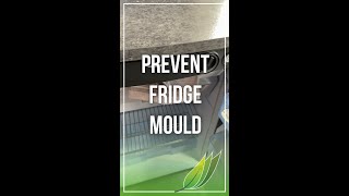 Prevent mould in caravan fridges