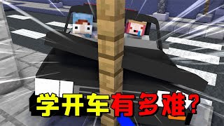 Minecraft：开车到底有多难学？盘点那些古怪的驾校后遗症【大小姐可樂】