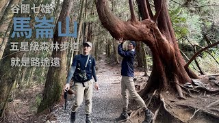 馬崙山 五星級 登山步道 谷關七雄裡的老二 景觀 林相 人文 歷史 豐富的行程