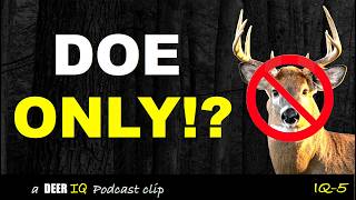 Should Youth Seasons Be DOE ONLY? Michigan Harvest Data - What it Reveals!