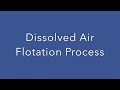 dissolved air flotation process