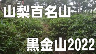 【山梨百名山】黒金山・最短ルートの乾徳山林道・桧尾駐車場から2022＠山梨県山梨市