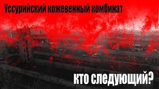 СВЕТЛОЕ НАСТОЯЩЕЕ #1 Уссурийский кожевенный комбинат