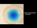 fast fractal fingering in fructose fluids