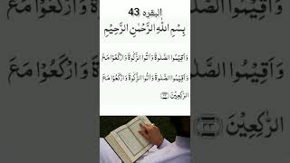 holy Qur'an part 1# Al Baqarah 43#arabic # recitation #youtubeshorts