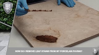ECOPROTEC - Intensive Cleaner - Removing Leaf Stains