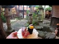 4k hida takayama a beautiful old japanese town gifu in japan