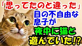 「思ってたのと違った」目の不自由な息子が夜中に猫と遊んでいた!?【猫の不思議な話】【朗読】