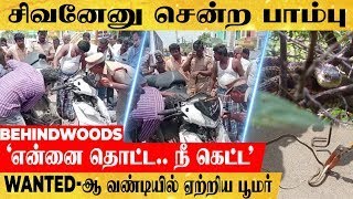 'வேலியில் போன பாம்பை.. வேட்டியில் விட்ட பூமர்'.. உஷ் உஷ் சத்ததில் சோதித்த சோக சம்பவம்..!