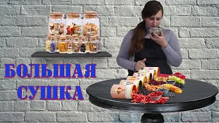 Большая СУШКА. Сушим ВСЁ!!!. Как мы сушим и храним овощи, фрукты, зелень, ягоды.