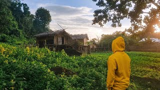 বান্দরবান এর সৌন্দর্য | The Beauty of Bandarban : A Hidden Village | Bandarban tour